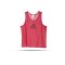 adidas Training BIB 14 Kennzeichnungshemd (F82134) - pink