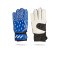 adidas Predator TW-Handschuh Kinder (GK3546) - blau