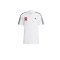 adidas 1.FC Nürnberg Poloshirt Weiss - weiss