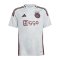 adidas Ajax Amsterdam Trikot 3rd 2024/2025 Kids Grau - grau