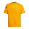 adidas Real Madrid Trikot Away 2024/2025 Kids Orange - orange