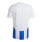 adidas Striped 24 Trikot Weiss Blau - weiss