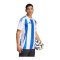 adidas Striped 24 Trikot Weiss Blau - weiss