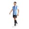 adidas Striped 24 Trikot Weiss Blau - weiss