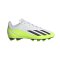 adidas X Crazyfast.4 FG Crazyrush Kids Weiss Schwarz Gelb - weiss