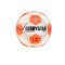 Derbystar Bundesliga Club S-Light 290g v24 Trainingsball F024 - weiss