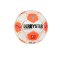 Derbystar Bundesliga Club TT v24 Trainingsball F024 - weiss