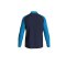 JAKO Iconic Polyesterjacke Kids Blau Gelb F914 - blau