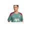 Nike FC Liverpool Auth. Trainingsshirt Grün F362 - gruen