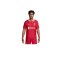 Nike FC Liverpool Auth. Trikot Home 2024/2025 Rot F688 - rot