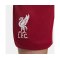 Nike FC Liverpool Short Home 2022/2023 Kids Rot (608) - rot