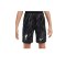 Nike FC Liverpool Torwartshort 2024/2025 Kids Schwarz F061 - grau