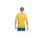 Nike Park Derby IV Trikot Gelb Blau F720 - gelb