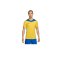 Nike Park Derby IV Trikot Gelb Blau F720 - gelb