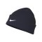 Nike Peak Standard Cuff Beanie Blau Weiss F451 - blau