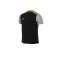 Nike Strike 24 Trainingsshirt Schwarz Gold F011 - schwarz