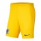 Nike TSV 1860 München TW-Short 2024/2025 Kids Gelb F719 - gelb