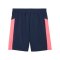 PUMA individualFINAL Short Blau F01 - blau