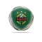 PUMA SK Rapid Wien Icon Ball Grün Weiss (001) - gruen