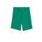 PUMA teamGOAL Short Kids Grün Weiss F05 - gruen