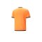 PUMA teamLIGA Trikot Orange Schwarz F50 - orange