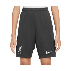 nike-fc-liverpool-academy-short-kids-grau-f060-fq2760-fan-shop_front.png