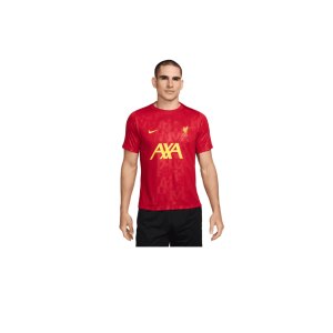 nike-fc-liverpool-prematch-shirt-2024-2025-f688-fn9653-fan-shop_front.png