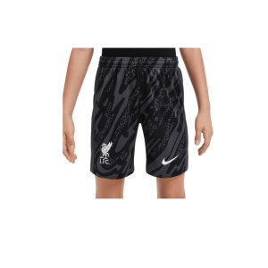 nike-fc-liverpool-torwartshort-2024-2025-kids-f061-fn9189-fan-shop_front.png