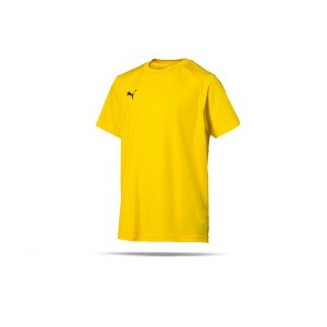 puma-liga-training-t-shirt-kids-f07-teamsport-textilien-sport-mannschaft-freizeit-655631.png