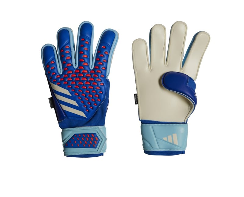 adidas Predator Match FS Torwarthandschuhe Ausrüstung Equipment Weiss | Blau 